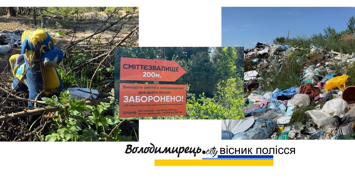 Володимирецька громада – проблема стихійних сміттєзвалищ і що з нею робити?