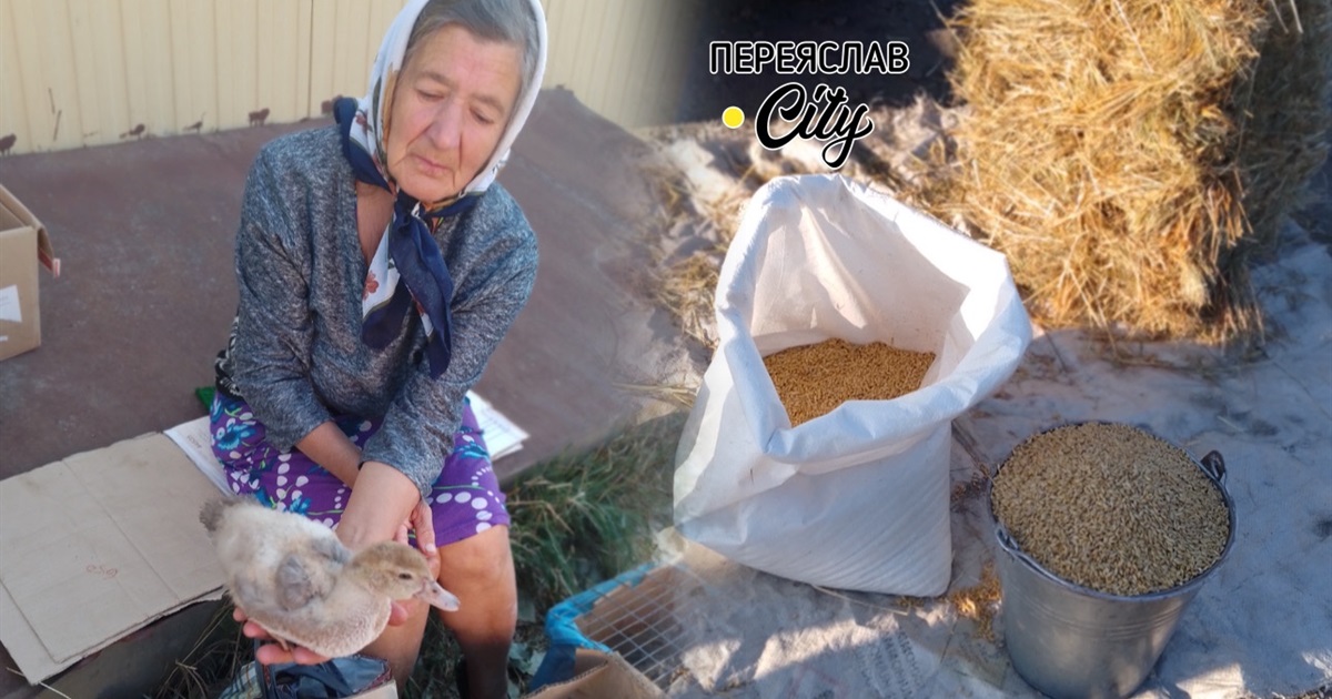 У Переяславі на базарі подорожчала пшениця: 60 гривень за відро, бо озимину ще не сіяли без дощу