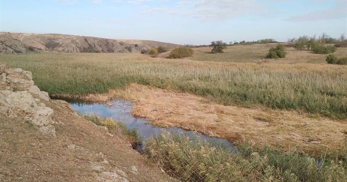 Бердянське водосховище критично обміліло: через 2-3 місяці Бердянськ може залишитися без води