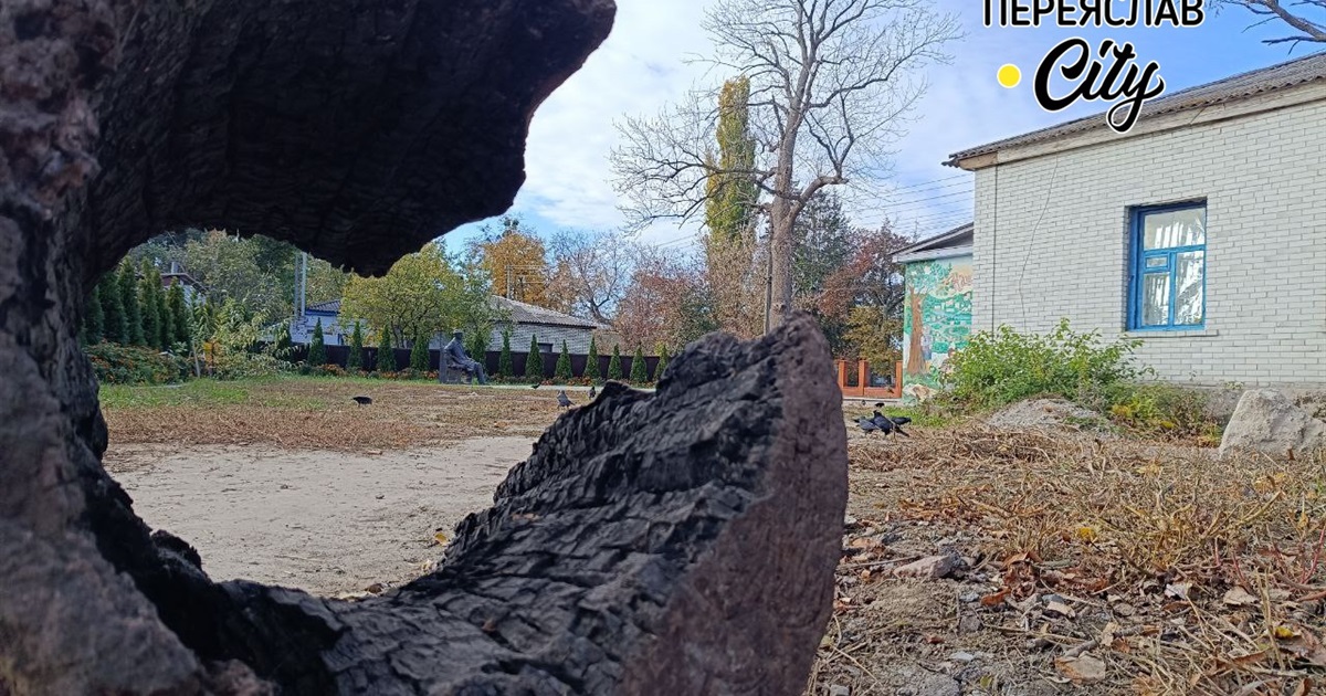 Переяслав уперше моніторить програма "Прозорі міста": взаємодія з громадськістю, бюджет, кадри тощо