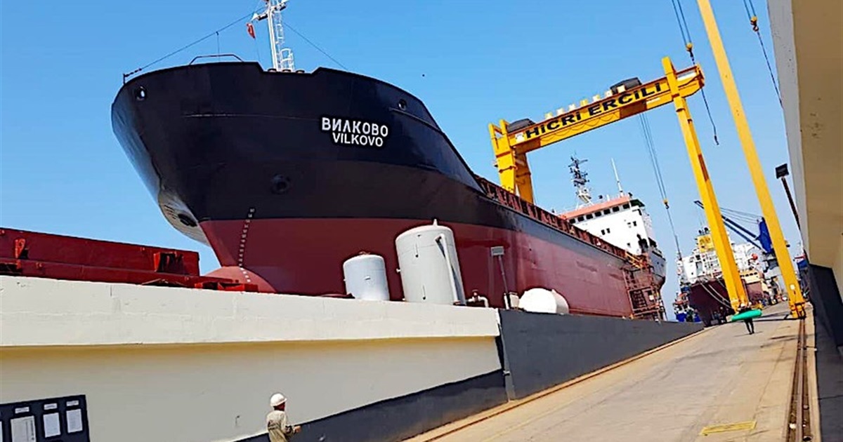 Все на продаж: УДП хоче звільнитися від морського флоту