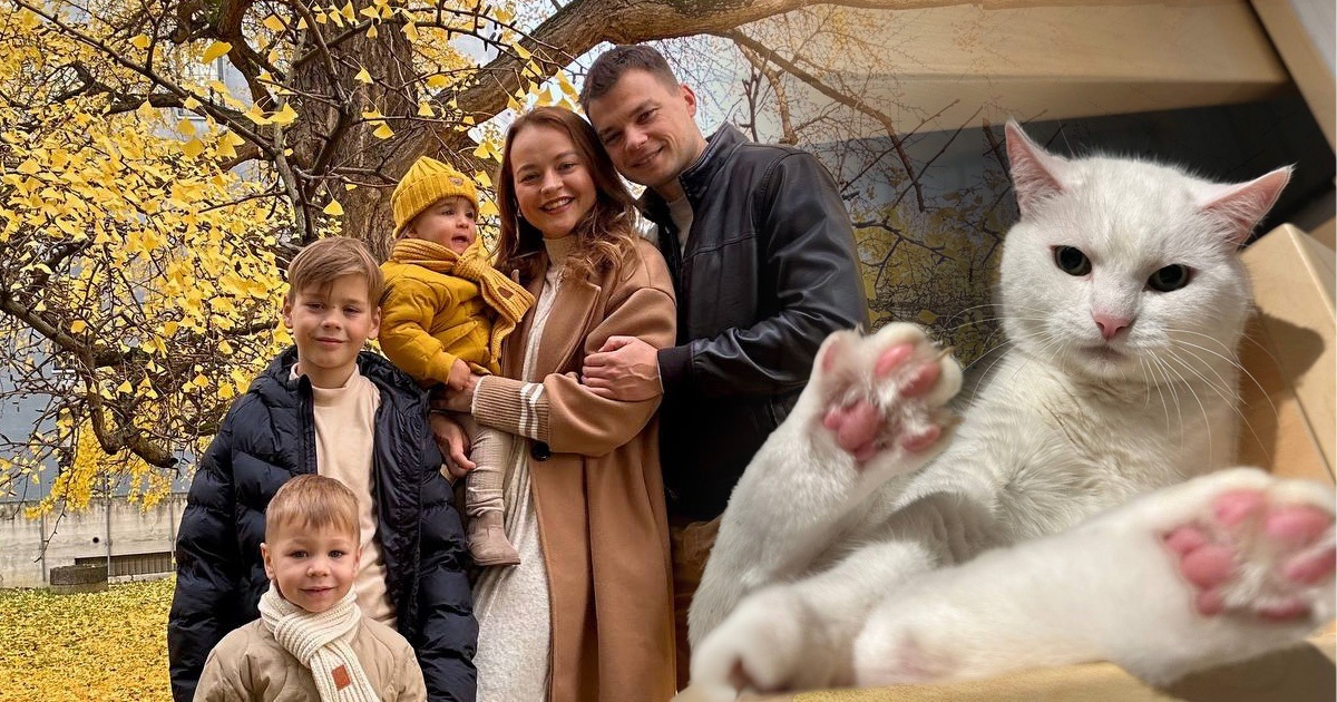 Америка замість Німеччини. Як кота родини Єфременкових з Горлівки депортували з Маямі