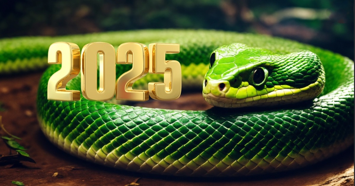 Новий рік 2025: тварина та стихія року, головні кольори та що одягти в новорічну ніч