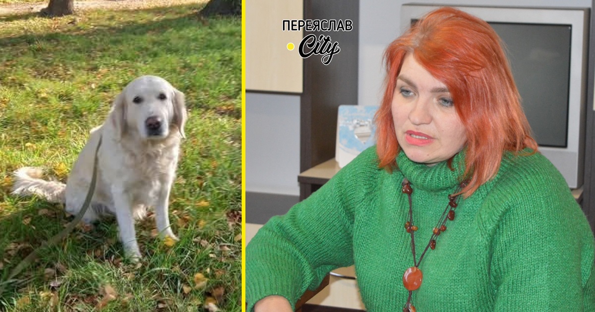 Аліна Бородіна у Переяславі допомагає власникам собак навчитися краще розуміти своїх улюбленців
