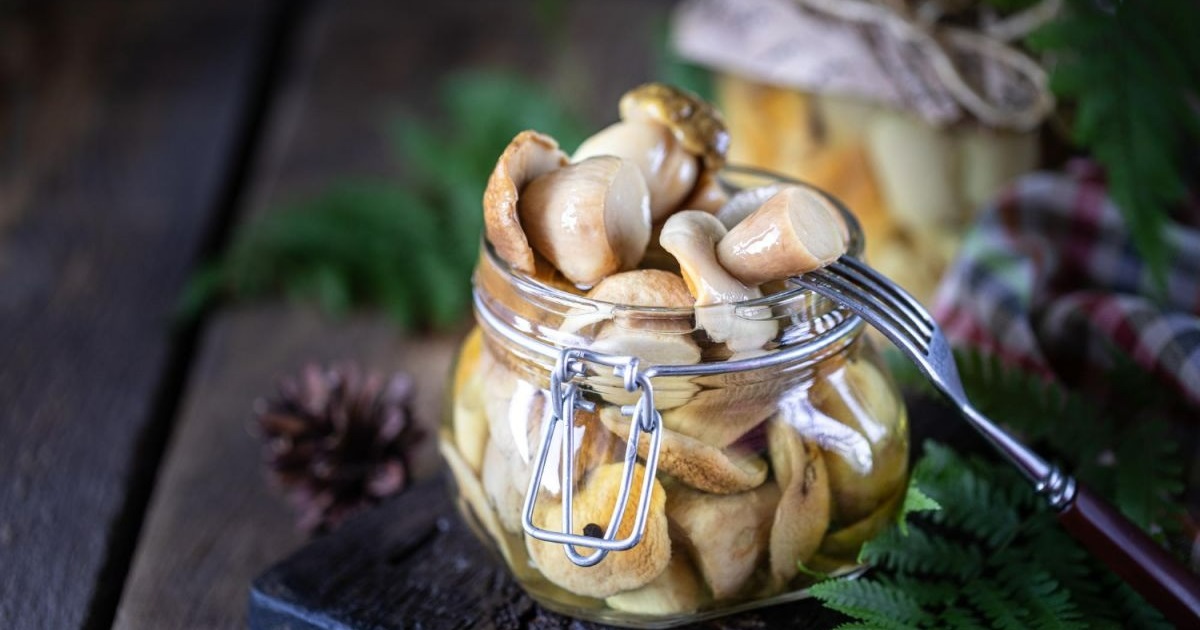 Гриби в маринаді: найкращі рецепти для ароматної закуски