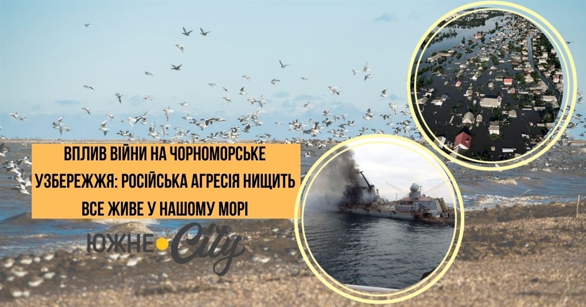 "Забруднення Чорного моря в умовах війни": російська агресія нищить все живе у Чорному Морі