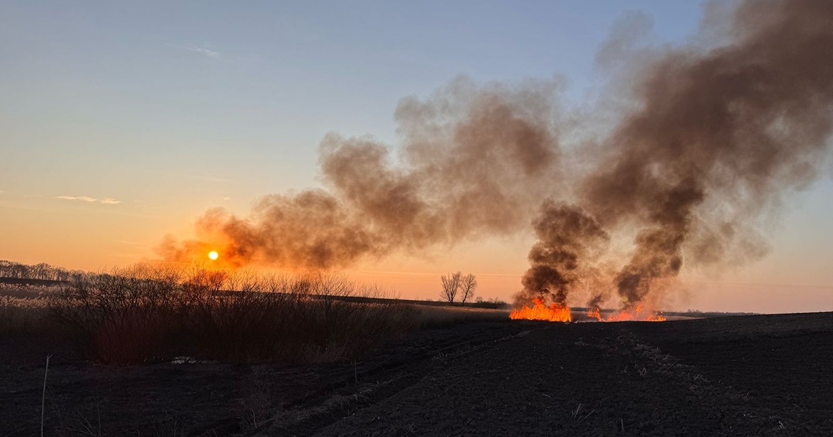 Пожежі на Кагарличчині не припиняються: вогонь нищить гектари очерету та майно громадян