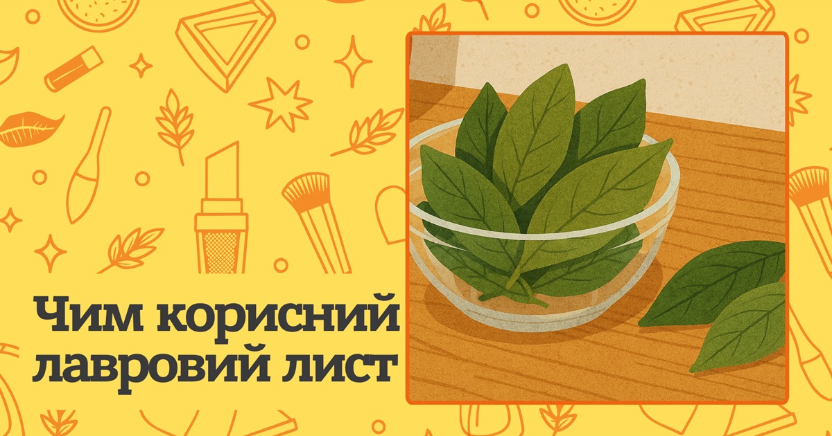 Чим корисний лавровий лист? Цілющі властивості ароматної спеції