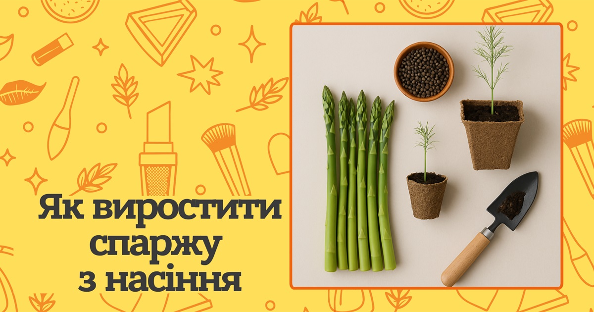 Як виростити спаржу з насіння? Покрокова інструкція та корисні поради