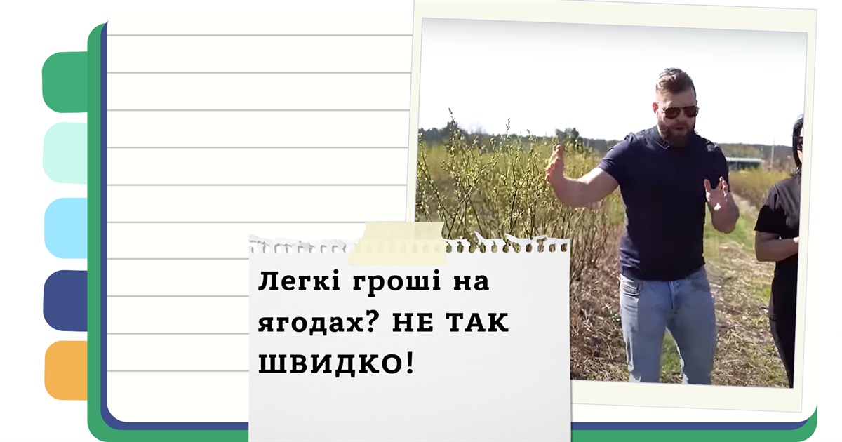 Вирощування лохини - прибутковий бізнес на піщаних ґрунтах