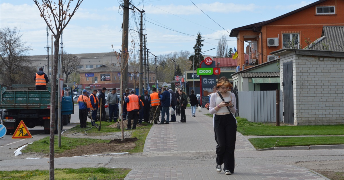 У Переяславі побільшало сакур: на вулиці Богдана Хмельницького висадили нові дерева ФОТО