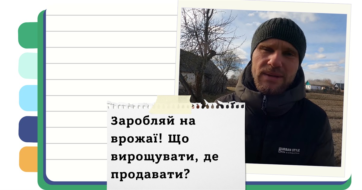 Як розпочати бізнес на вирощуванні овочів в Україні? - Поради фермера з 7-річним досвідом
