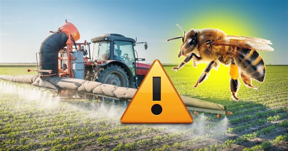Увага! Оголошення про обприскування полів засобами захисту ...