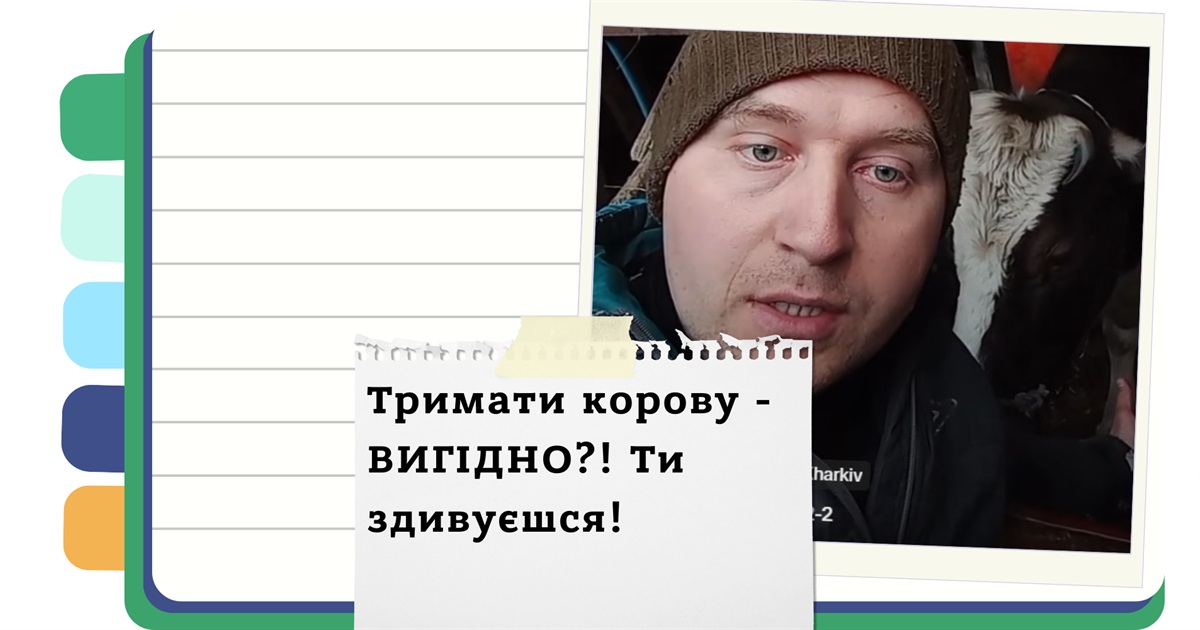 Чи вигідно тримати корову? - Міфи та правда про молочний бізнес