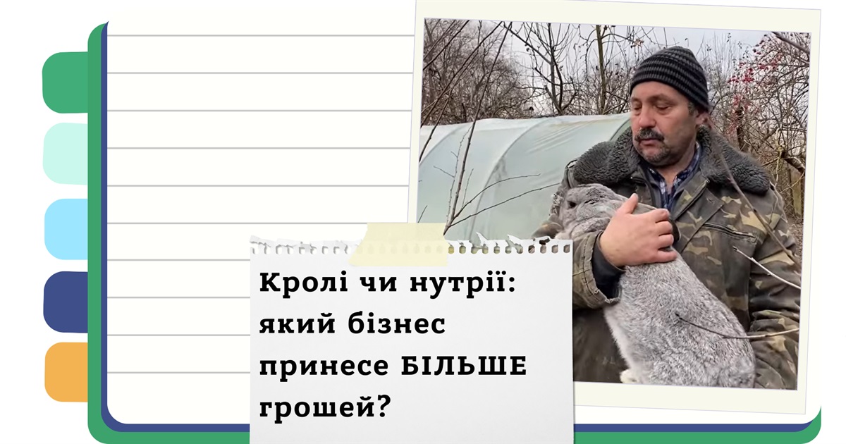 Кролі чи нутрії: кого вигідніше розводити вдома?