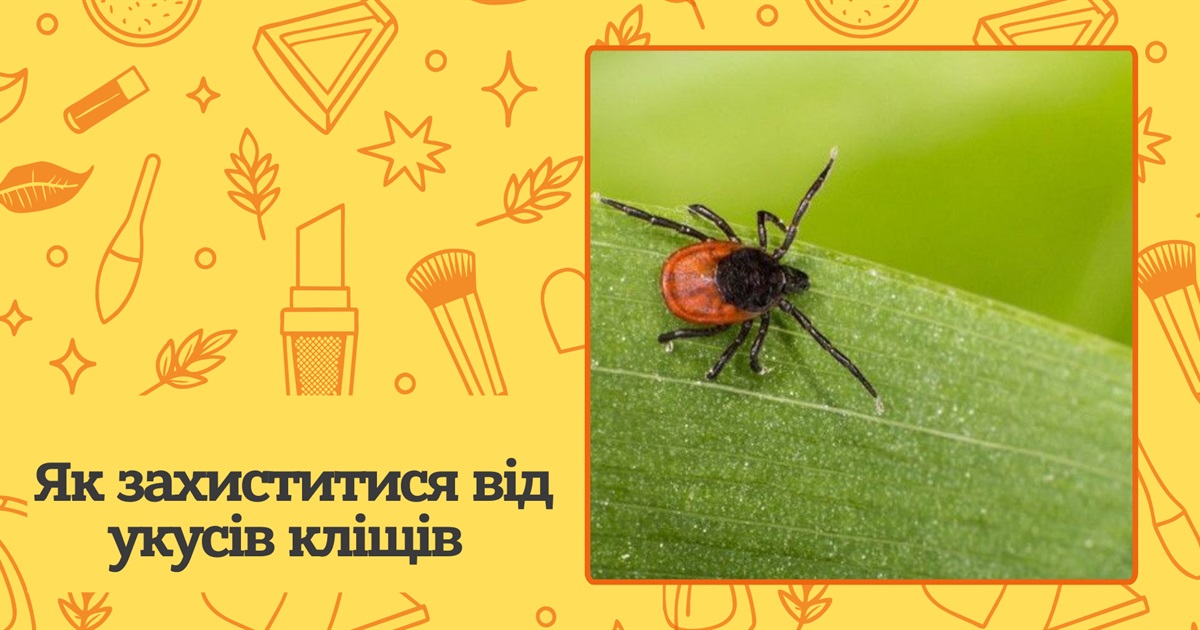 Яка група крові приваблює кліщів найбільше? Поради щодо профілактики укусів та перша допомога