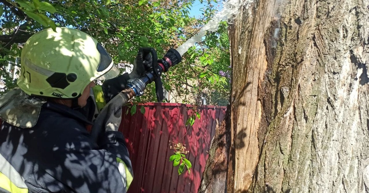 У Переяславі рятувальники ліквідували загоряння дерева
