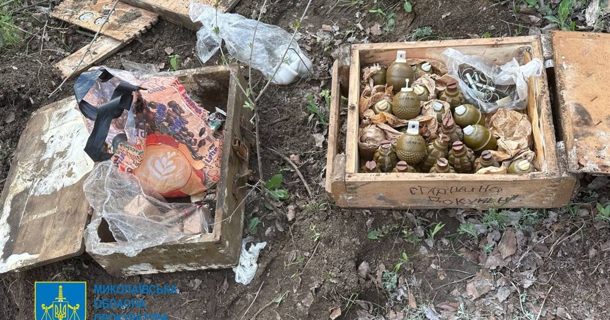 Зберігав боєприпаси у лісосмузі - жителю Вознесенщини повідомлено про підозру
