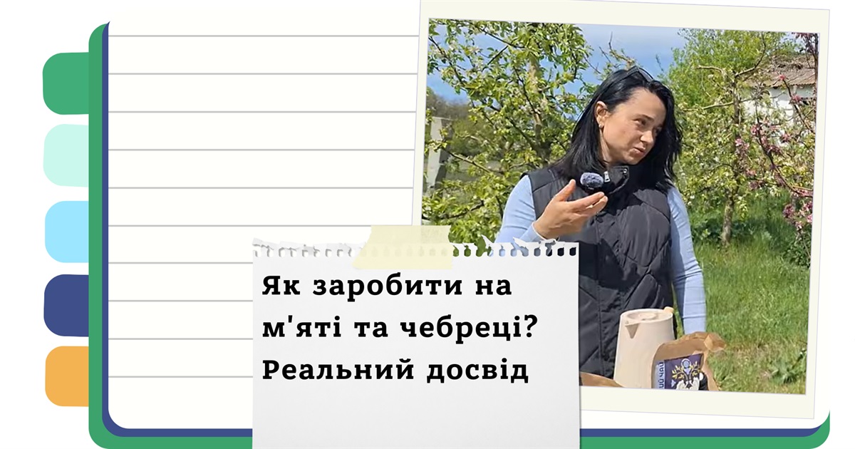 Як вирощувати лікарські трави та добре заробляти - покрокова інструкція