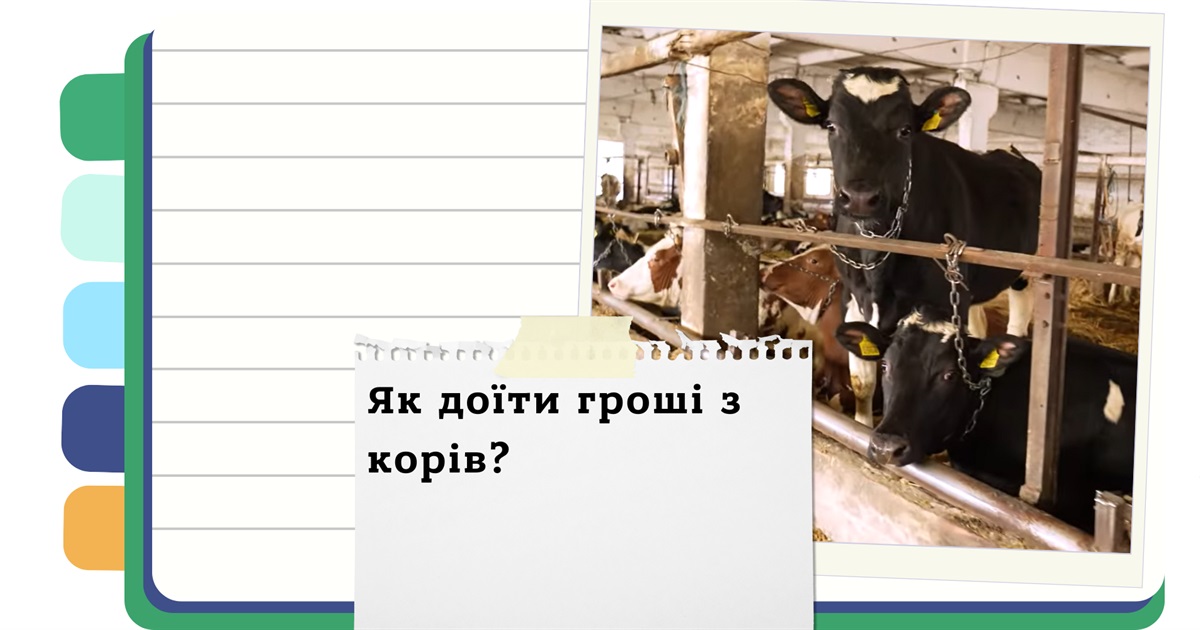 Прибуткове тваринництво: як черкаський фермер заробляє на молоці, м'ясі та рибі