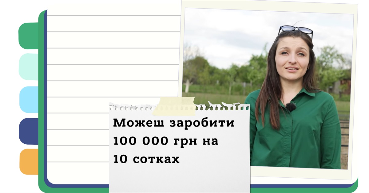 Як заробляти на вирощуванні спаржі в Україні?