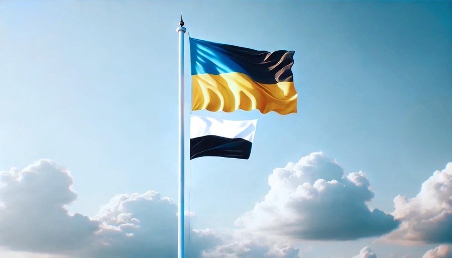 Зразок біло-чорного прапора