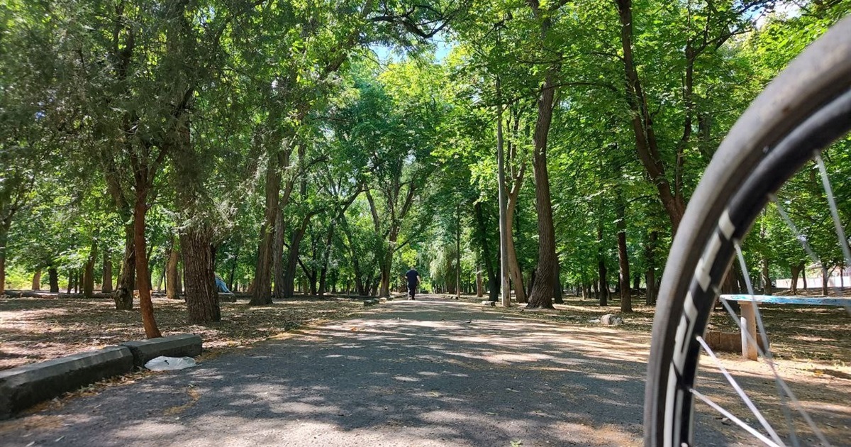 Затінок, тиша і дерева: прогулянка Молодіжним парком у Первомайську. Фотоальбом