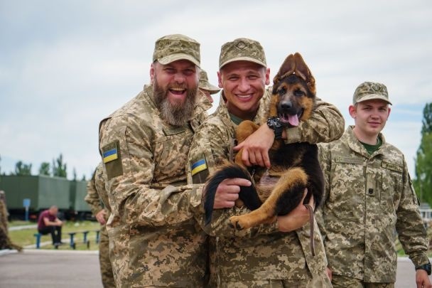 Актори серіалу «Прикордонники»