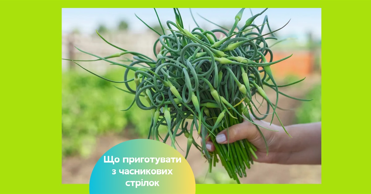 Часникові стрілки — найкращі рецепти на зиму, заморожені, у сметані та ароматне песто
