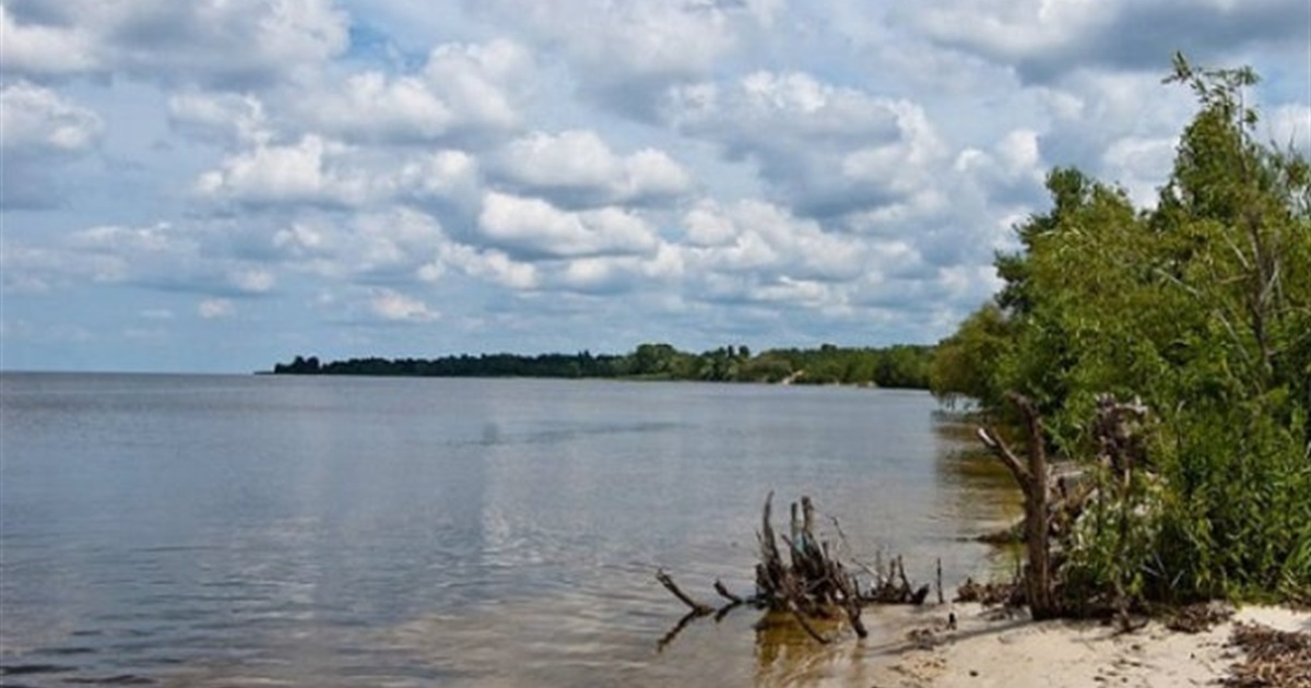 Відпочинок на Київському морі, огляд кемпінгів та пляжів