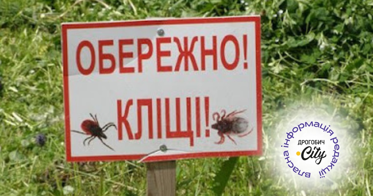 Лише за липень чотири випадки бореліозу в Дрогобицькій громаді: як захиститися від укусу кліщів