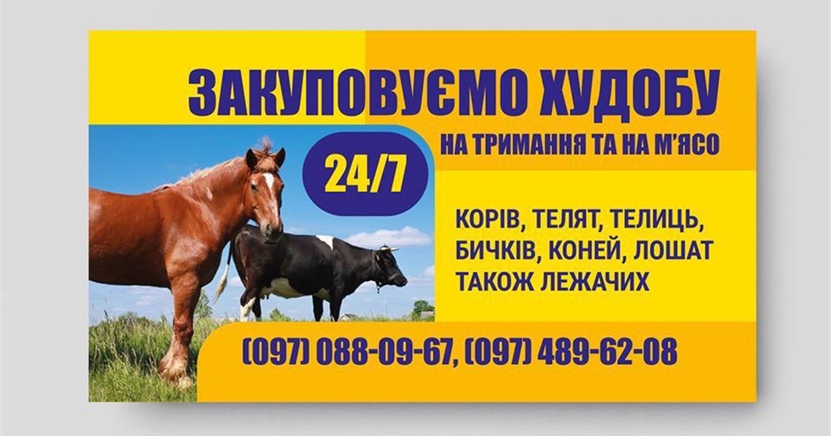 Закуповуємо худобу на тримання та на мʼясо: працюємо 24/7