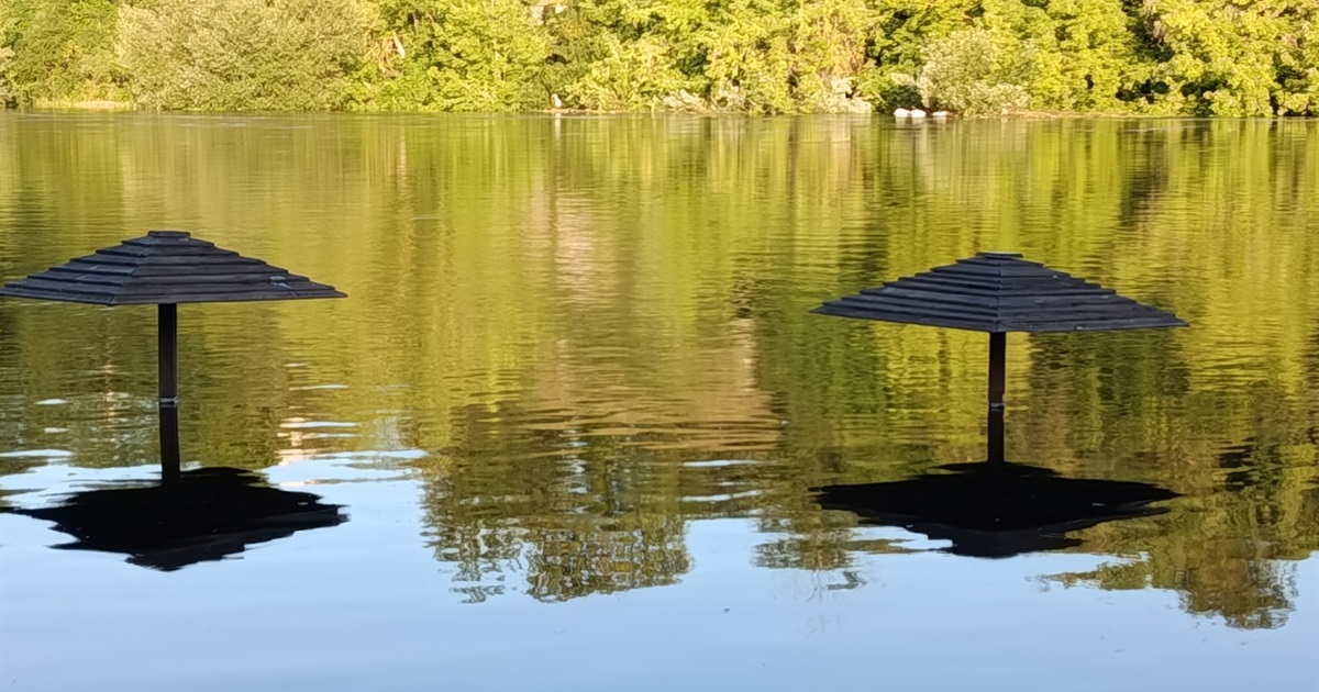 Рівень води в річці Случ у Звягелі зріс удвічі: дощі б’ють рекорди 1949 року