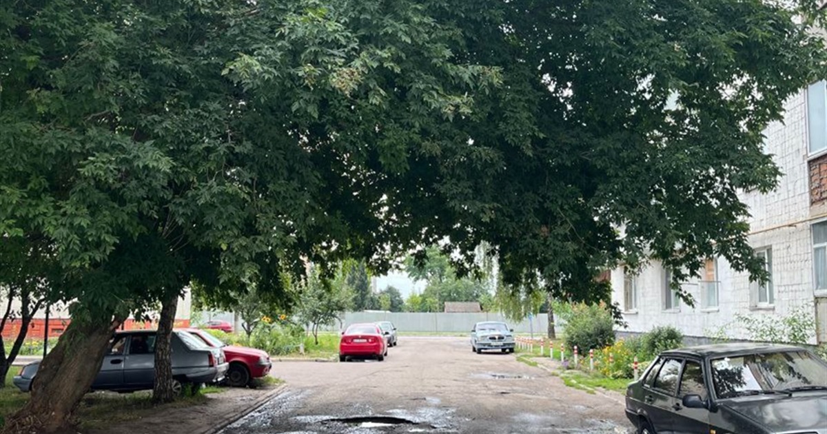 У Переяславській громаді поменшає на 26 дерев, найбільше зріжуть на кладовищі у Мазінках