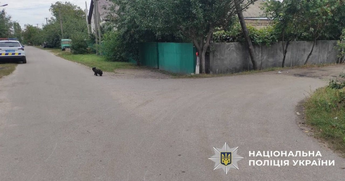 Збив автівкою пенсіонерку та втік: поліція розслідує обставини аварії