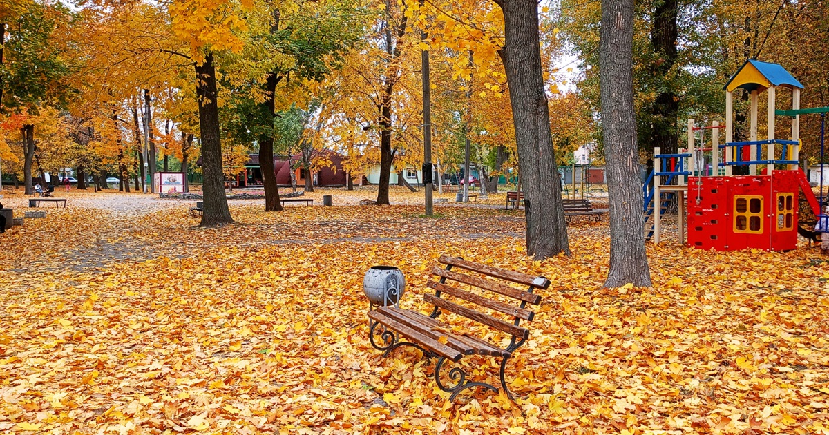 Які українські та міжнародні свята і пам'ятні дати чекати у листопаді