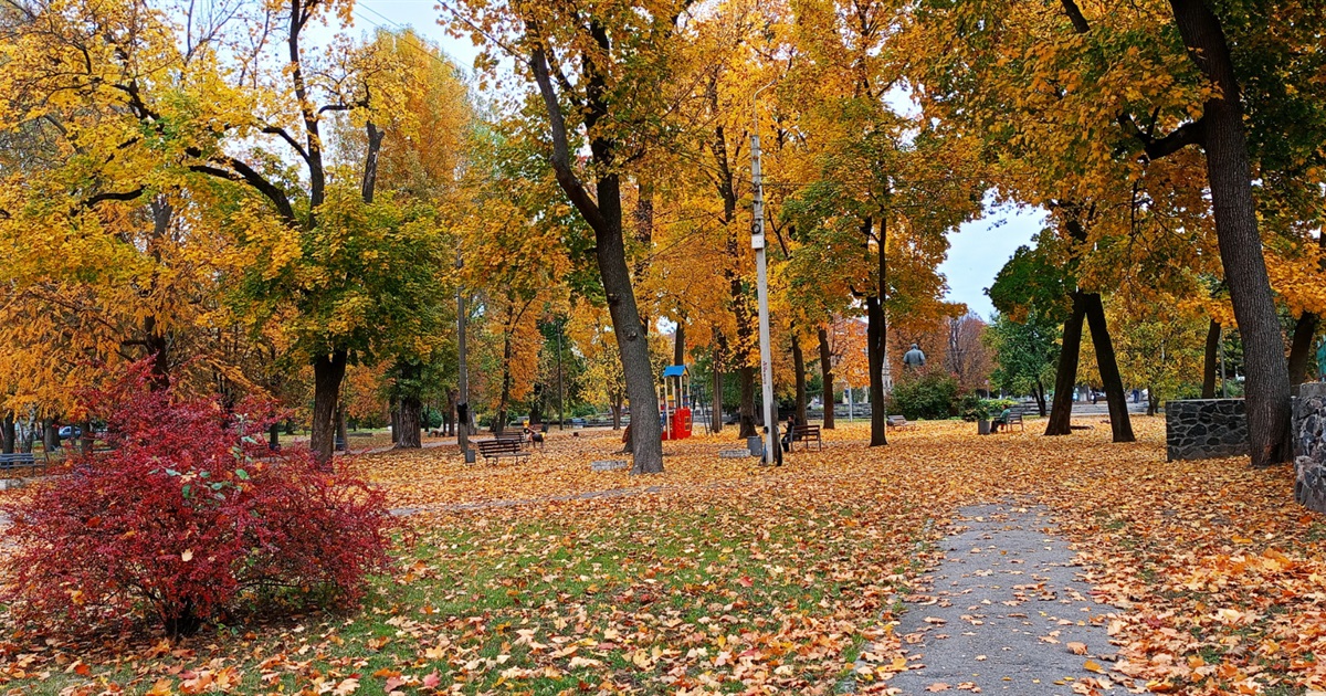 Початок листопада вселяє оптимізм: погода 3 - 9 листопада у Золотоноші