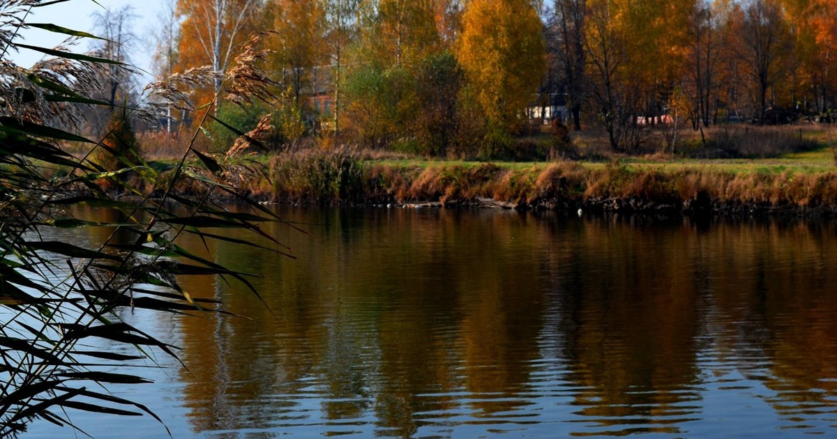 Як живе українське село Прибинь на Корюківщині, розташоване біля росії. Що болить місцевим жителям