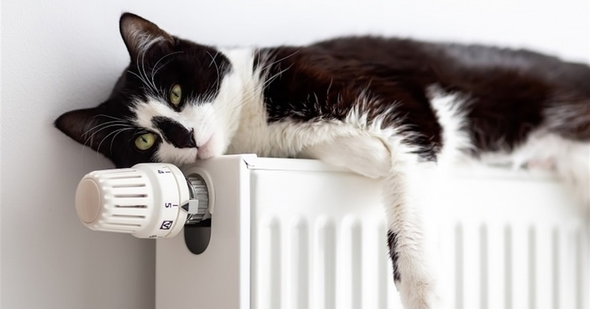 В Ізмаїлі визначили дату початку опалювального сезону 2025–2026 років