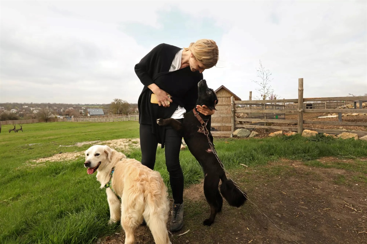 Євгенія Молчанова