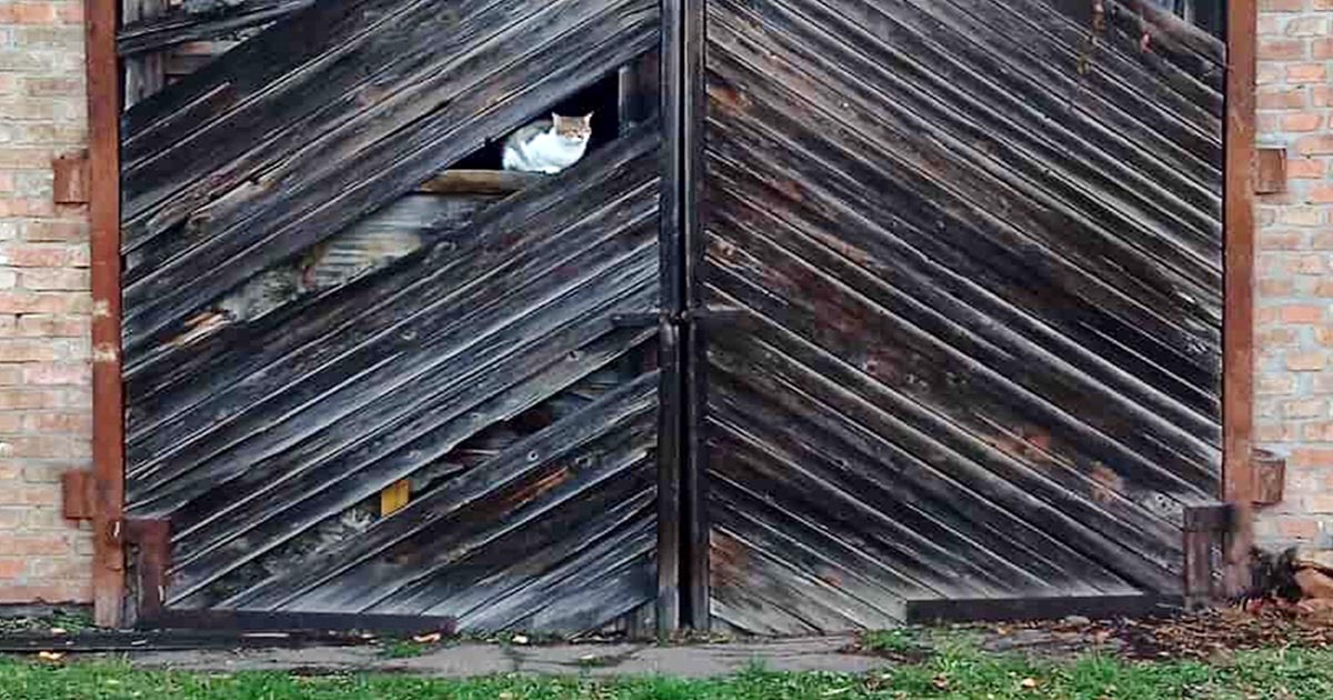 Погода у Золотоноші 17 - 23 листопада: у прогнозах перший сніг, але...