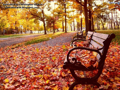 На вихідних на Сумщині дощитиме: прогноз погоди на 22-24 листопада