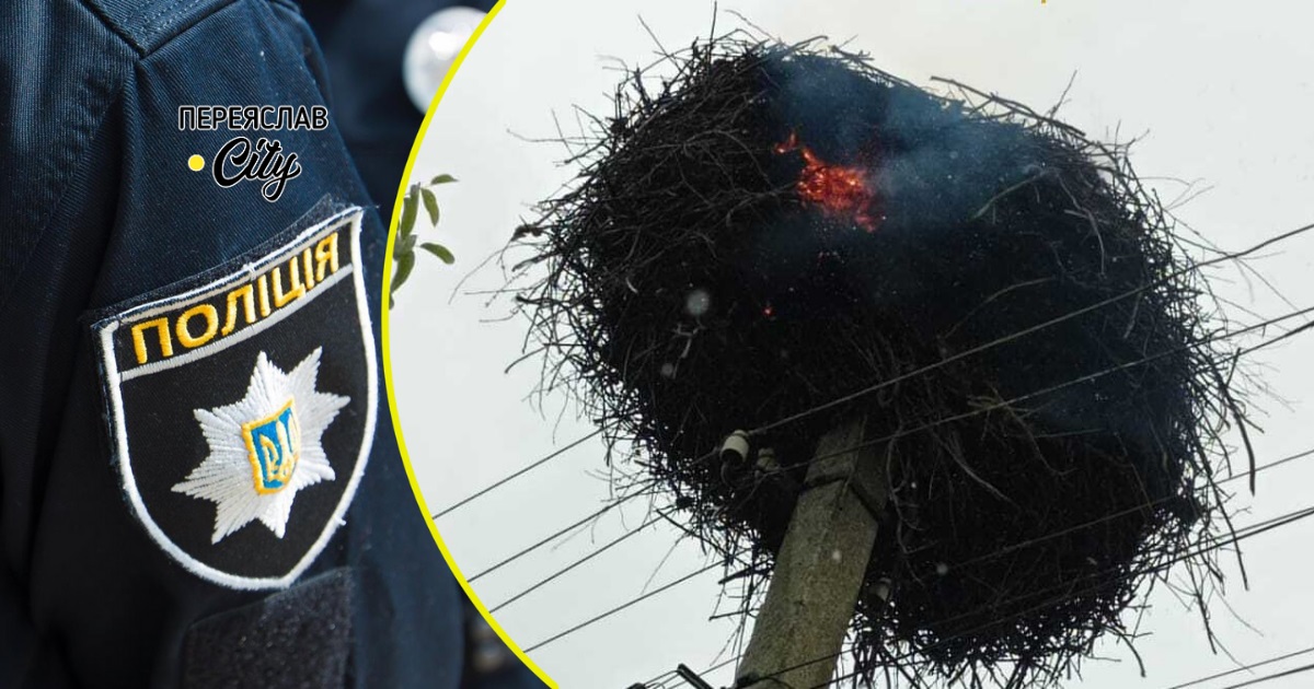 У Переяславі на стовпі загорілося гніздо лелеки: хроніка поліції