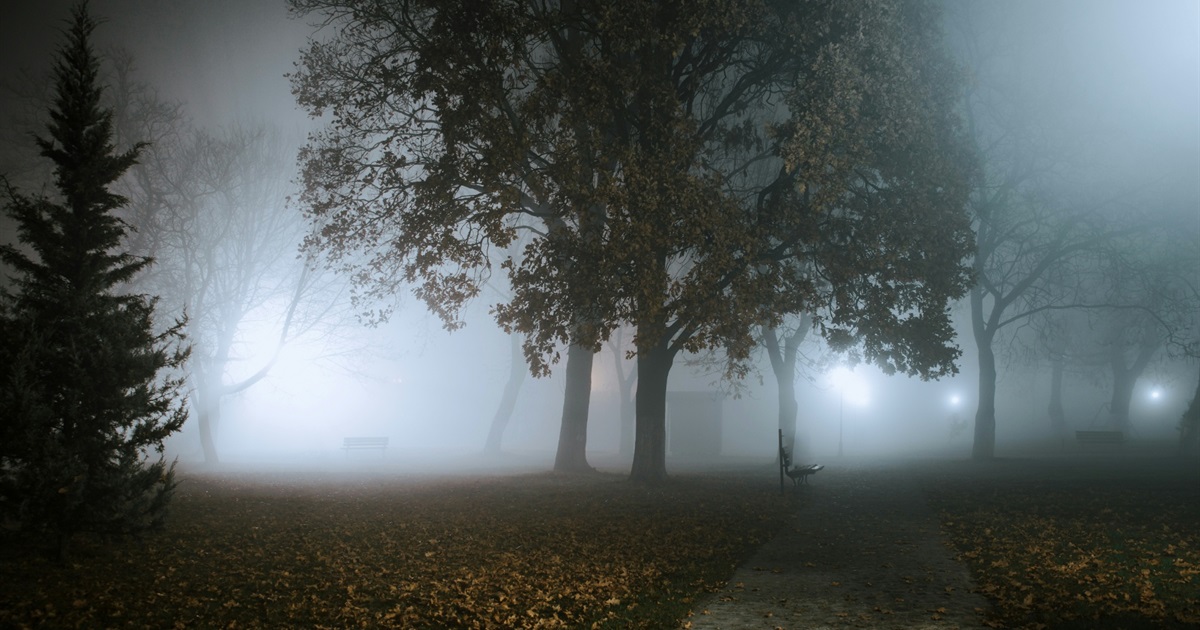 Де відключатимуть електроенергію у Кагарлику і селах Кагарлицької громади з 28 листопада по 1 грудня