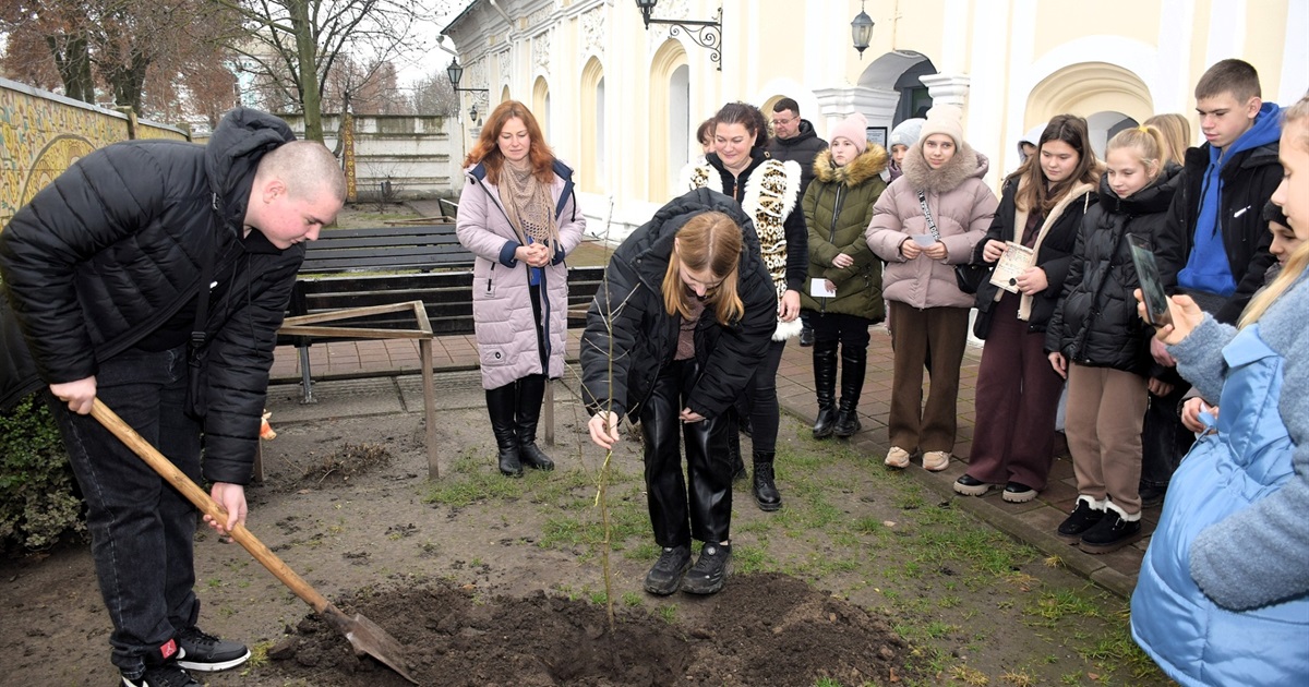 Саджанець нащадка дуба Сковороди висадили в Переяславі, його передали музейники з Харківщини