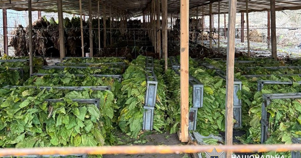 На Хмельниччині викрили підпільний тютюновий "бізнес": вилучили 45 тонн продукції