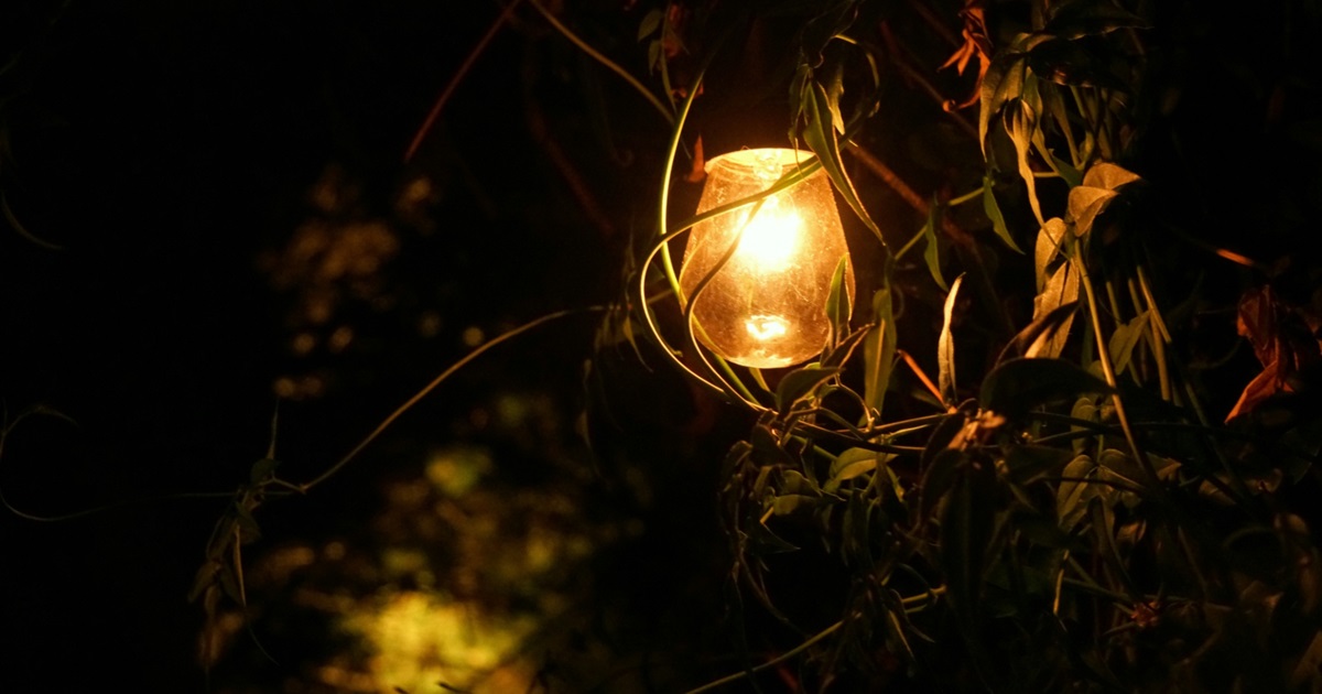 Де відключатимуть електроенергію у Кагарлику і селах Кагарлицької громади із 17 по 20 грудня