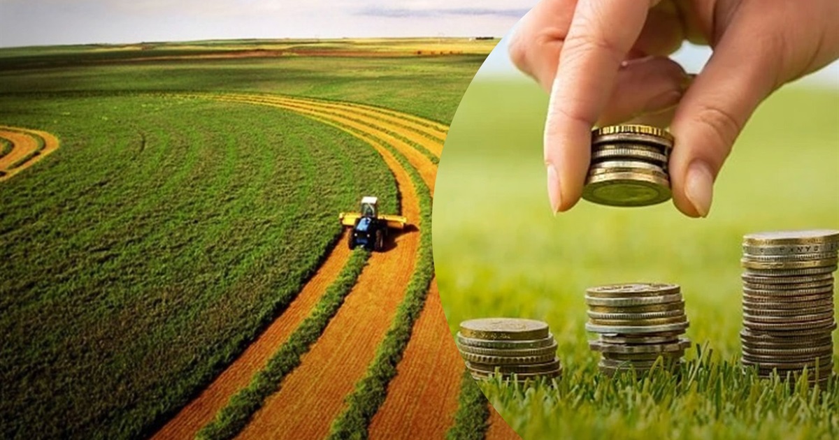 Розрахунок МПЗ для громадян: які суми земельного податку включаються до заліку