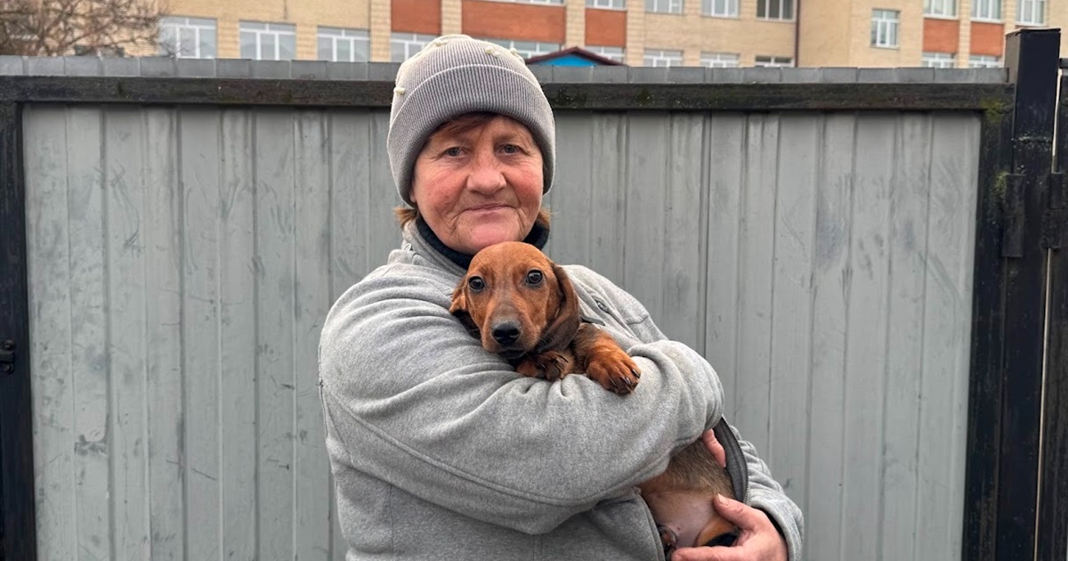 "Я без них – це не я": історія двірниці Світлани Пахомової, яка рятує безпритульних тварин