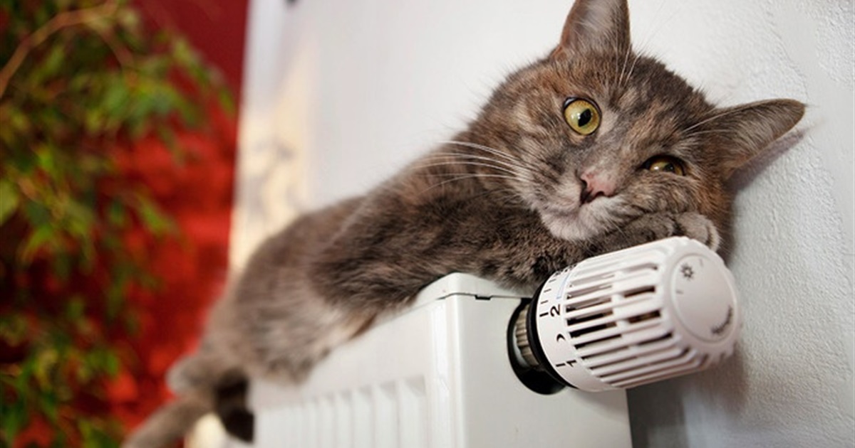 Жителі Переяслава скаржаться на відсутність тепла під час відключень: пояснень чекають від міськради